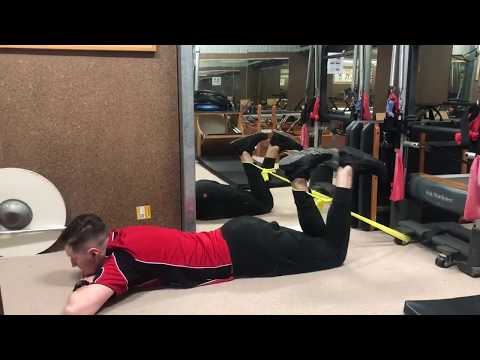 Eccentric Hamstring Curls Demonstration