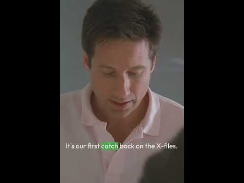 Agent Mulder puts