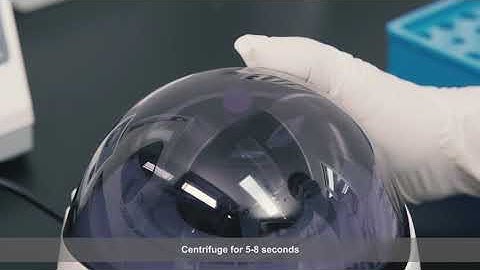 Genrui Novel Coronavirus (2019-nCoV) Nucleic Acid Detection Kit (RT-PCR)