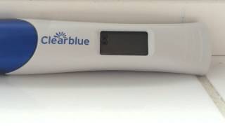 Surrogacy 2; live pregnancy test 6dpt