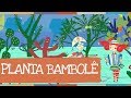 Palavra Cantada | Planta Bambolê