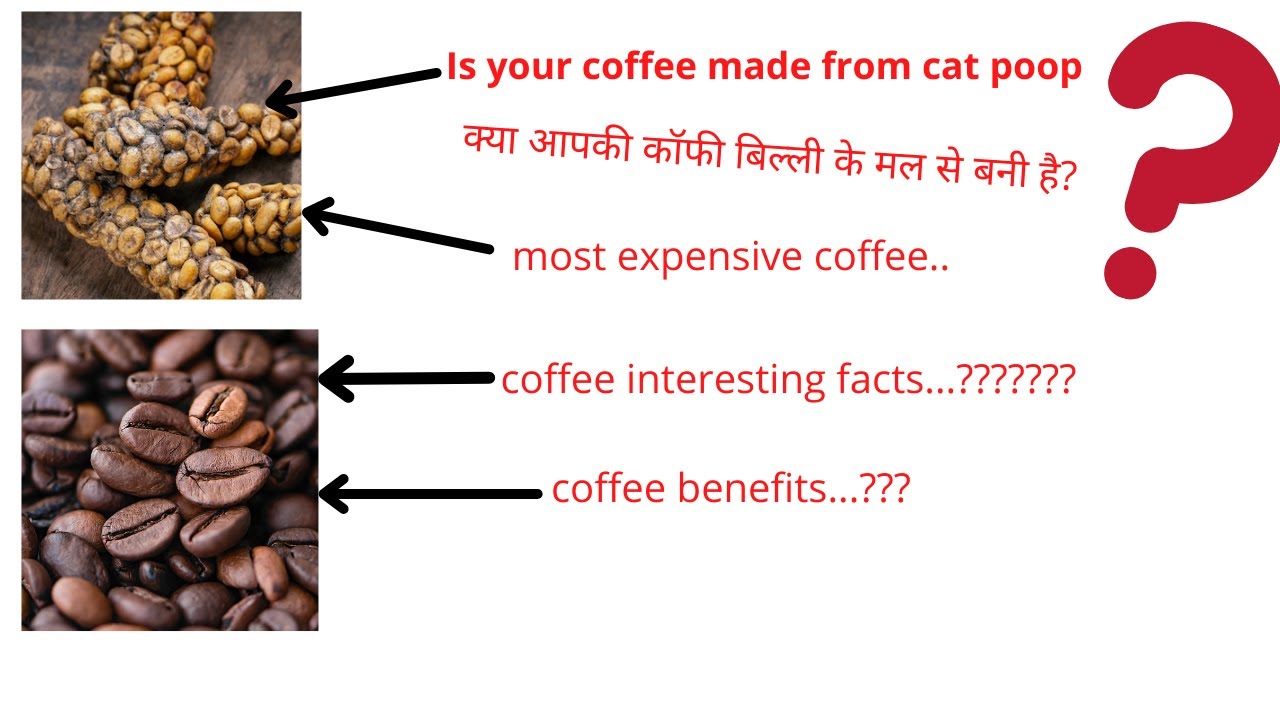 coffee benefits| coffee amazing facts| कॉफी के रोचक तथ्य | most expensive coffee| black coffee