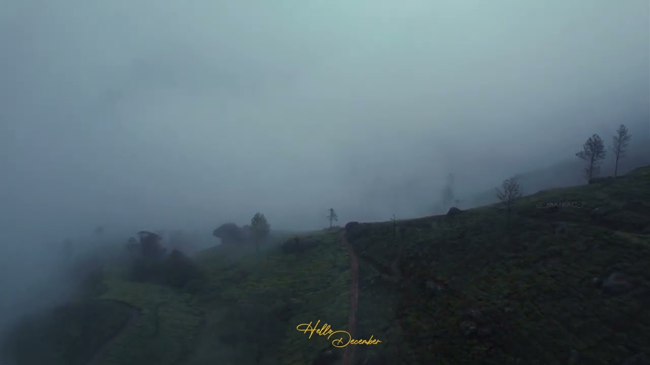A Misty december moring in munnar | aerial shot of teal plantations full of mist