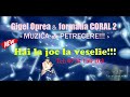 Gigel Oprea , formatia Coral2 / SUPER  COLAJ  PETRECERE , 2024, SARBE , HORE, ASCULTARE