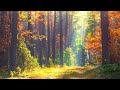 Beautiful Relaxing Music - Soothing Autumn Melodies, Mindful and Peaceful Piano Instrumental Music