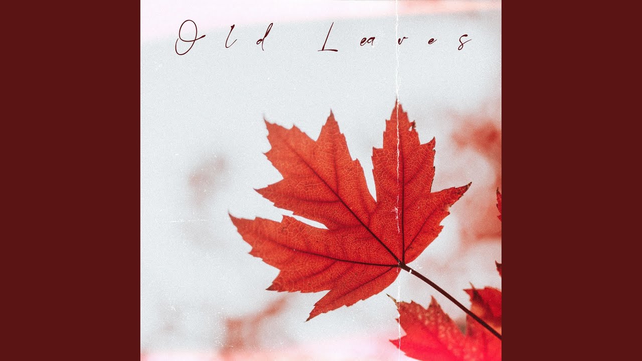 Watch Old Leaves on YouTube Watch Old Leaves on YouTube