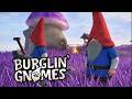 Gnomes vs homeowner