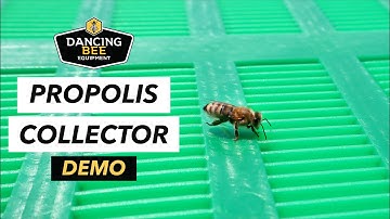 How to use a Propolis Collector