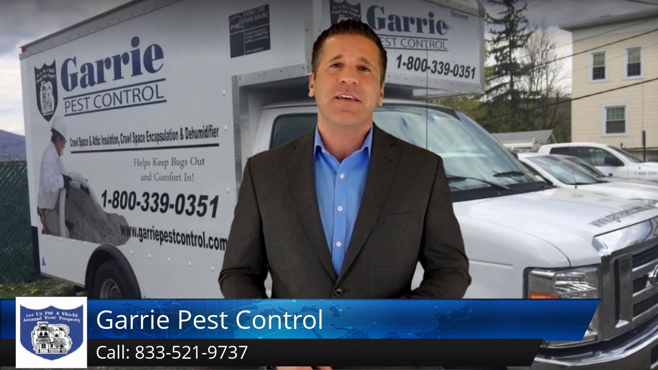 Garrie Pest Control Peekskill Amazing Five Star Review by Rekha Kumar