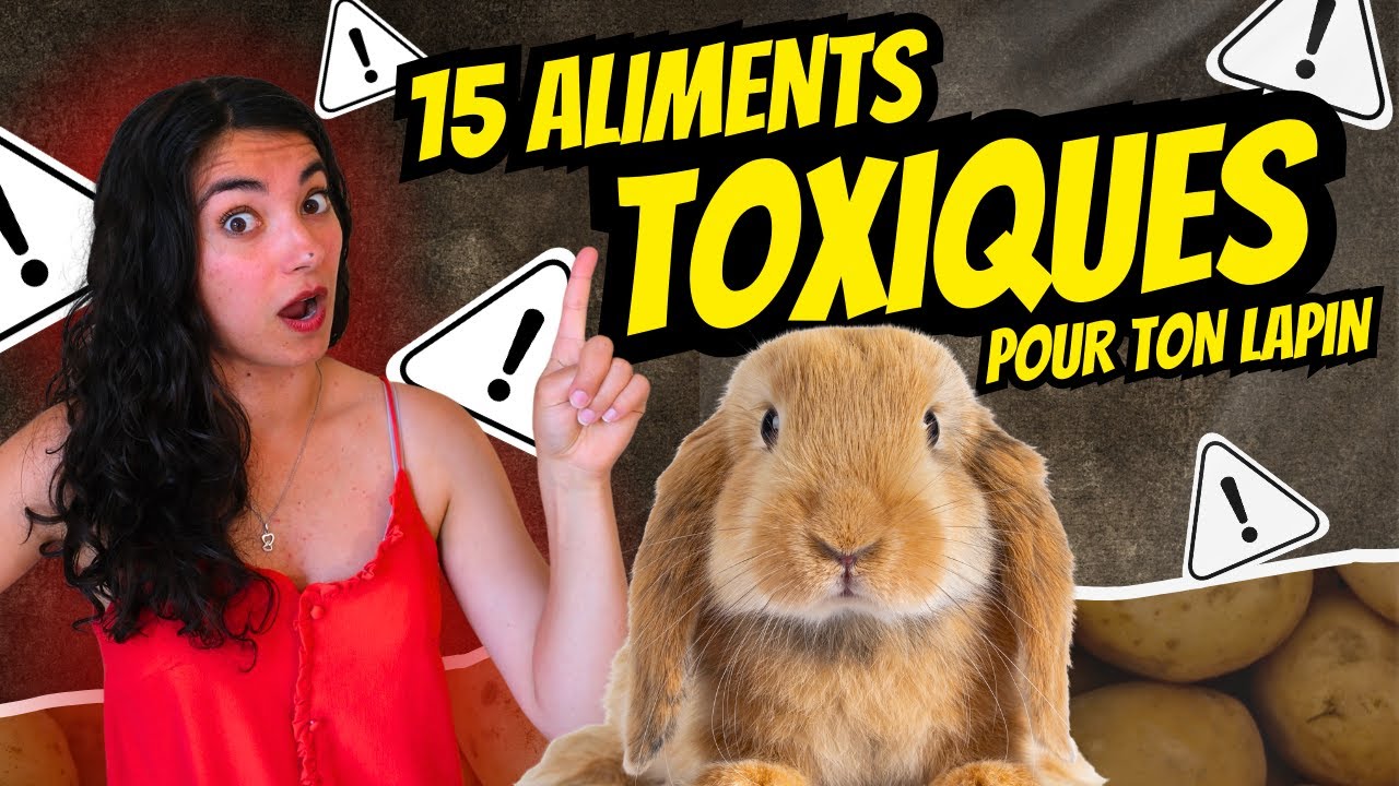 Les 15 aliments TOXIQUES pour ton LAPIN ⚠️ FAIS BIEN ATTENTION