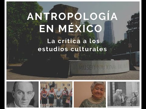 La crítica a los estudios culturales.