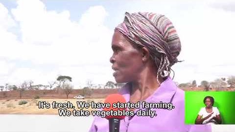 THE DEVOLUTION STORY