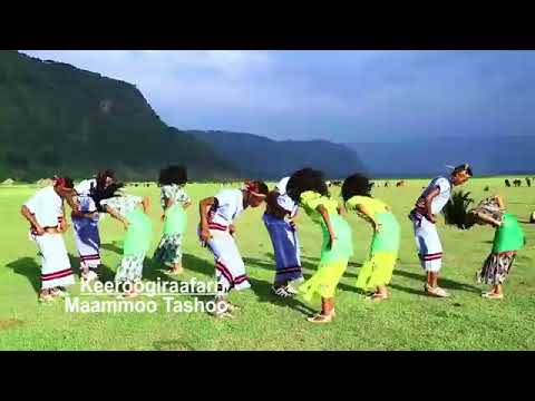 New Oromo Music Artisti Damittuu Gabitaa 