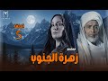 الحلقة 5 من مسلسل زهرة الجنوب أحمد عبد العزيز ونرمين الفقي في ذروة الصراع 