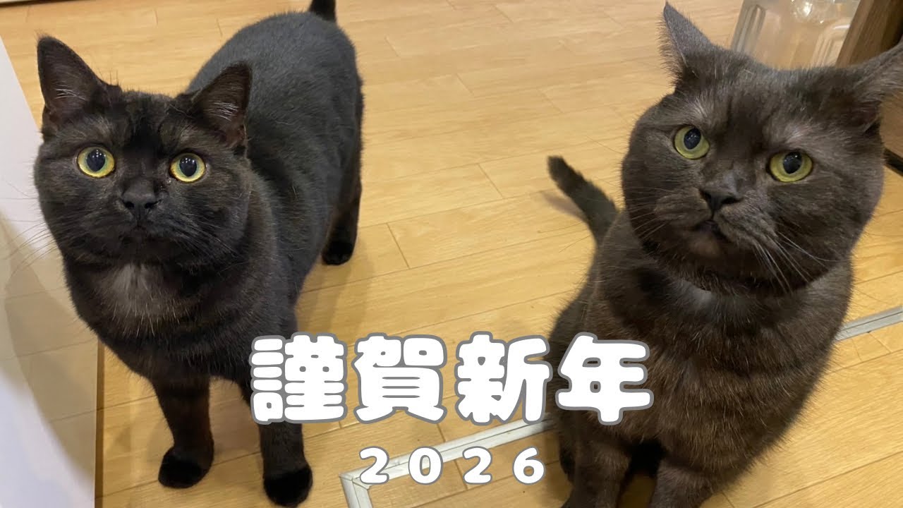 新年のご挨拶と目標