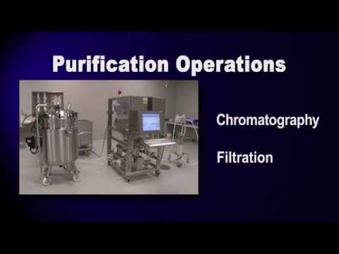 Purification Overview (GFP Purification part 1 of 6)