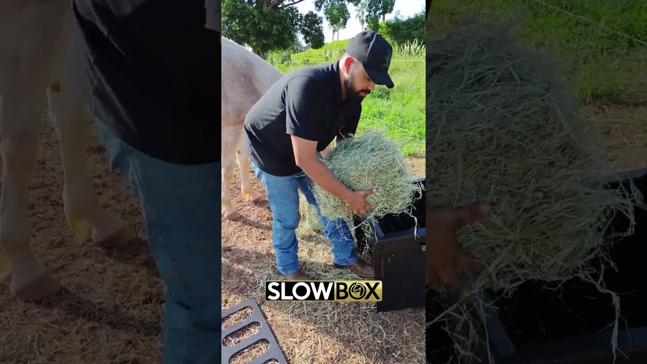 Cocho de alimentação lenta Slowbox, como montar