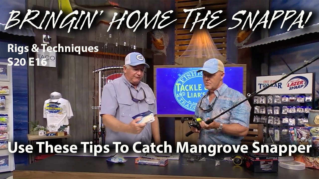 How To Fool Mangrove Snapper Into Biting Your Bait!