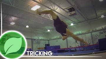 How to Raiz (w/ TD Raiz Tips) | Tutorial