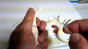 Brian Gundy Gives Class On How To Probe a Ball Python