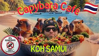 Geh NIEMALS in dieses Café auf Koh Samui... (bevor du das siehst!) 🚫🐹