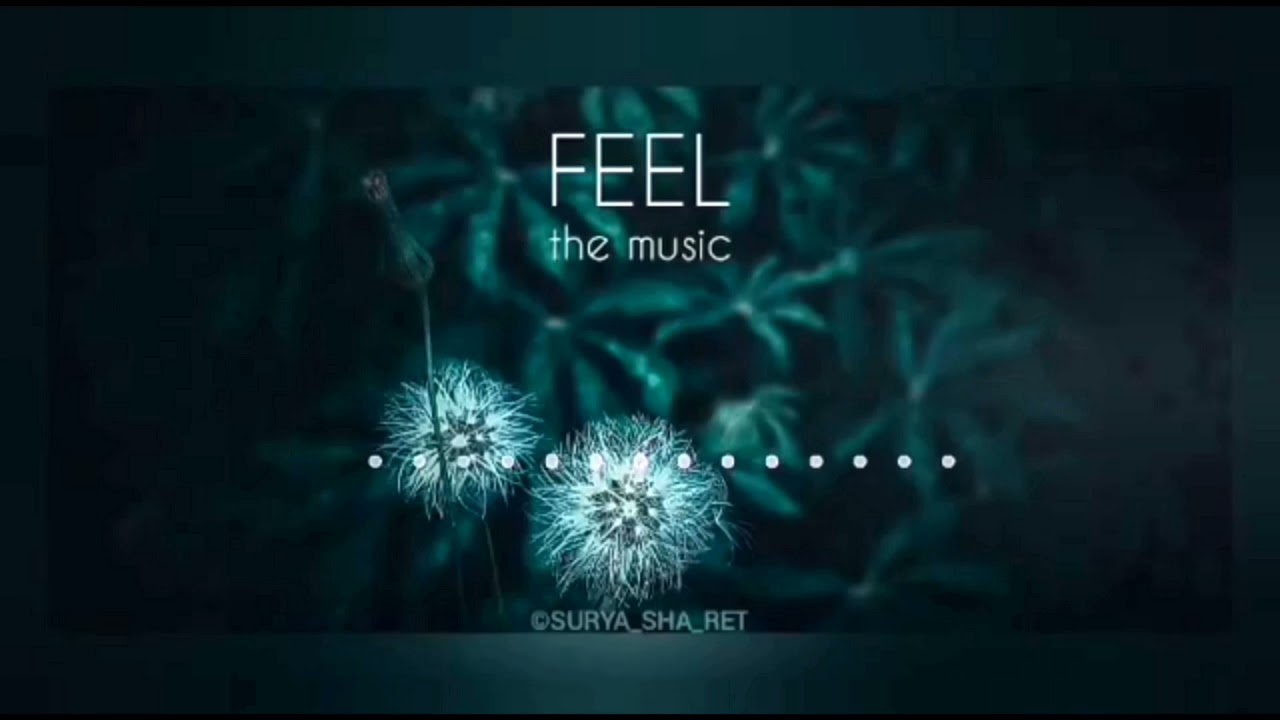 Watch Separation ThemeMusic | Solo | Heart touching Music |The Maker🌼 #whatsappstatus #separationthemesolo on YouTube Watch Separation ThemeMusic | Solo | Heart touching Music |The Maker🌼 #whatsappstatus #separationthemesolo on YouTube