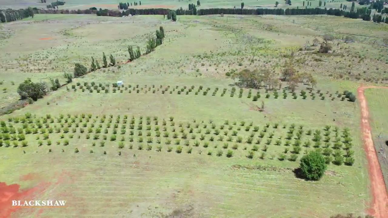 88 Poveys Road, Colinton