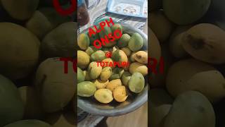 🥭 #India #Alphonso#Kesar#Dasheri#Langra#Chausa#Himasagar#Banganapalli#telangana#shortsfeed