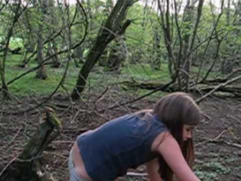 Esti Clayton BLUEBELLS and butterflies April 2007....