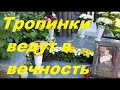 Часть первая/ Новодевичье кладбище 2021 года/Где покоятся знаменитости/Тропинки в вечность/