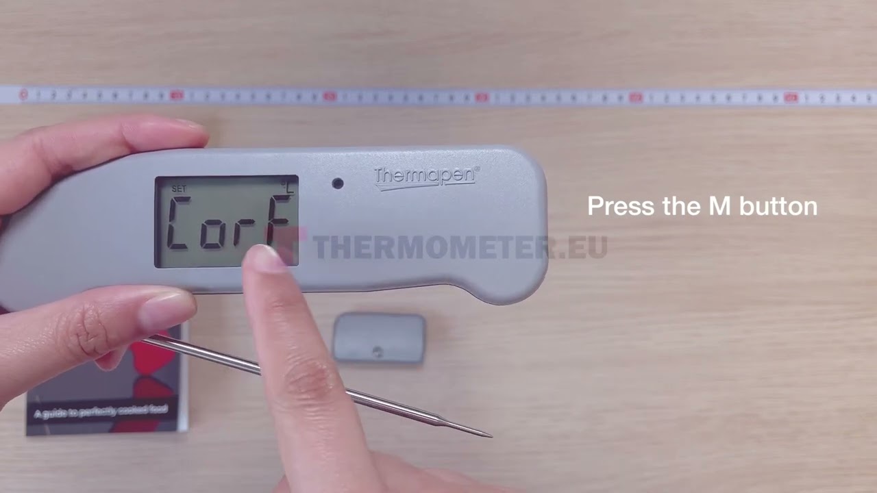 Thermapen® One