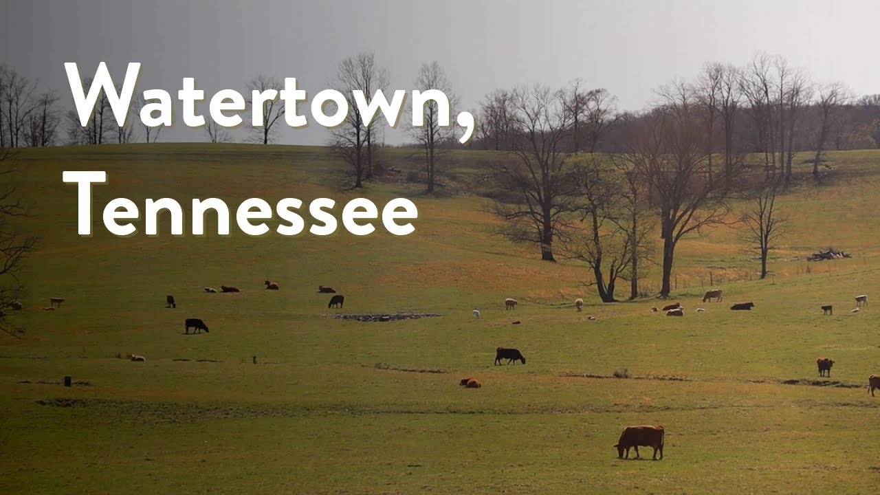Watertown, Tennessee YouTube
