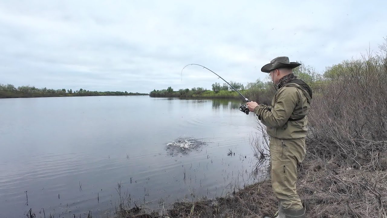 ОТКРЫТИЕ ПО СПИННИНГУ И СРАЗУ УДАЧНО. НАЛОВИЛИ РЫБЫ В РУЧЬЕ. ЧИСТКА РЫБЫ НА ЗАВЯЛКУ.