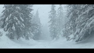 Angeles Crest Highway Blizzard 2242023