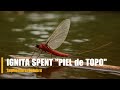 🎣 Montaje "Ignita Spent" "Piel de Topo"