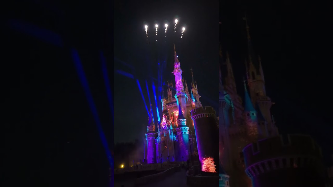 Reach for the Stars! 