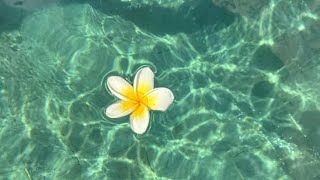 New Intro 🫧🤪🌺.Mp3ৎ