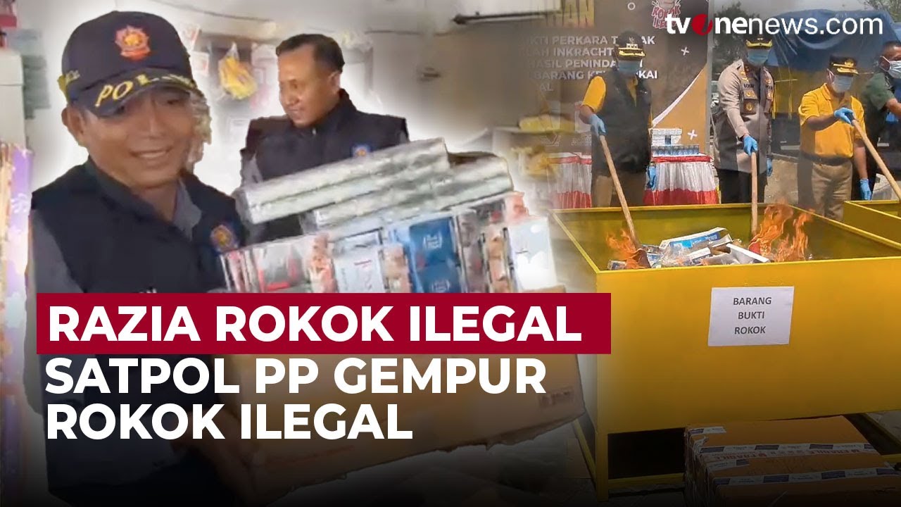 Marak Beredar Rokok Ilegal, Satpol PP dan Bea Cukai Gencar Razia | OneNews Update