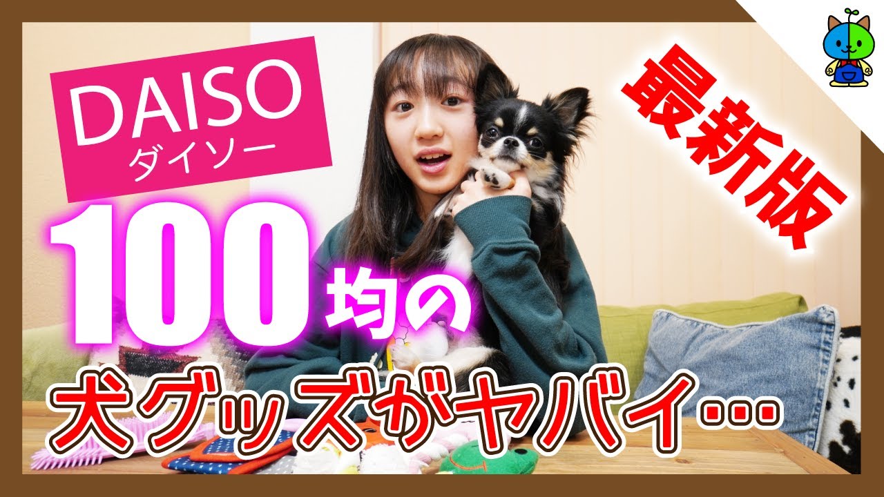 100均 ダイソーの犬グッズが凄過ぎる件 こんな物まで100円 ももかチャンネル Youtube