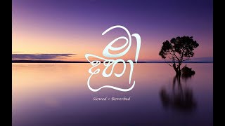 Balapan Sobani Ma Diha බලපන සබන ම දහ Dilu Beats Slowedreverbed