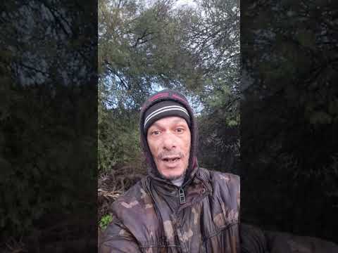 امثال شعبية على الز واج صفحة من أجلك المغرب العربي اسبانيا فرنسا إيطاليا ألمانيا أمريكا