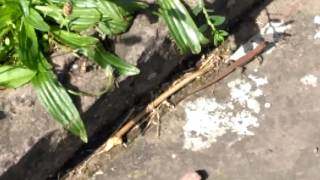 VID 20160928 132212
