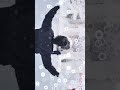 #medicalstudent #funny #medicosstuff #snowfall #slowmotion #abroadlife #medical #medlife