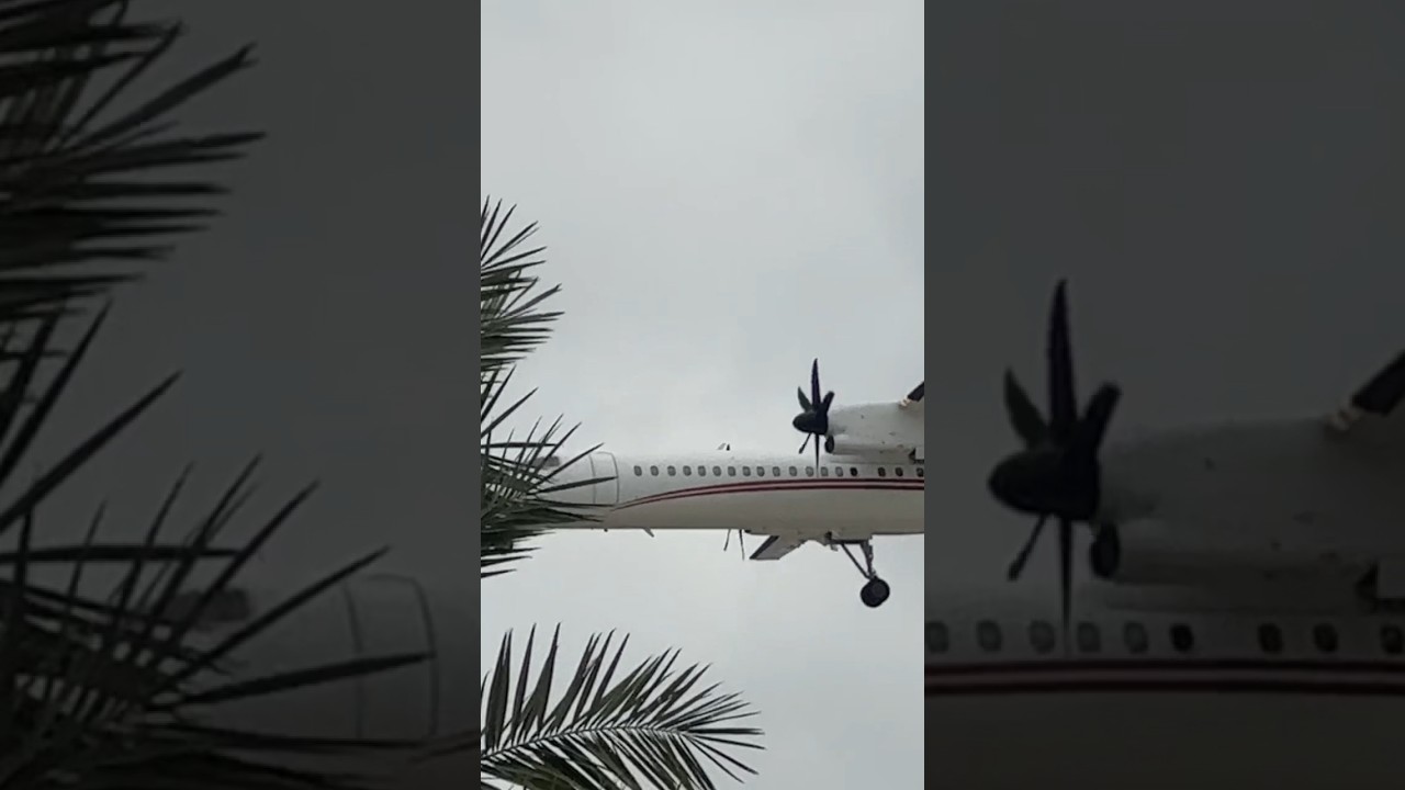 Flying Very Close to Trees 