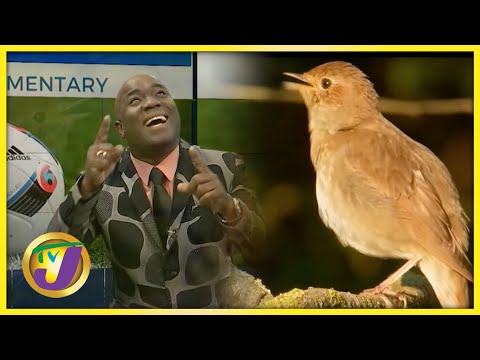 JFF Saga - 'Dem Nuh Know Nuh Bird' | TVJ Sports Commentary - July 28 2022