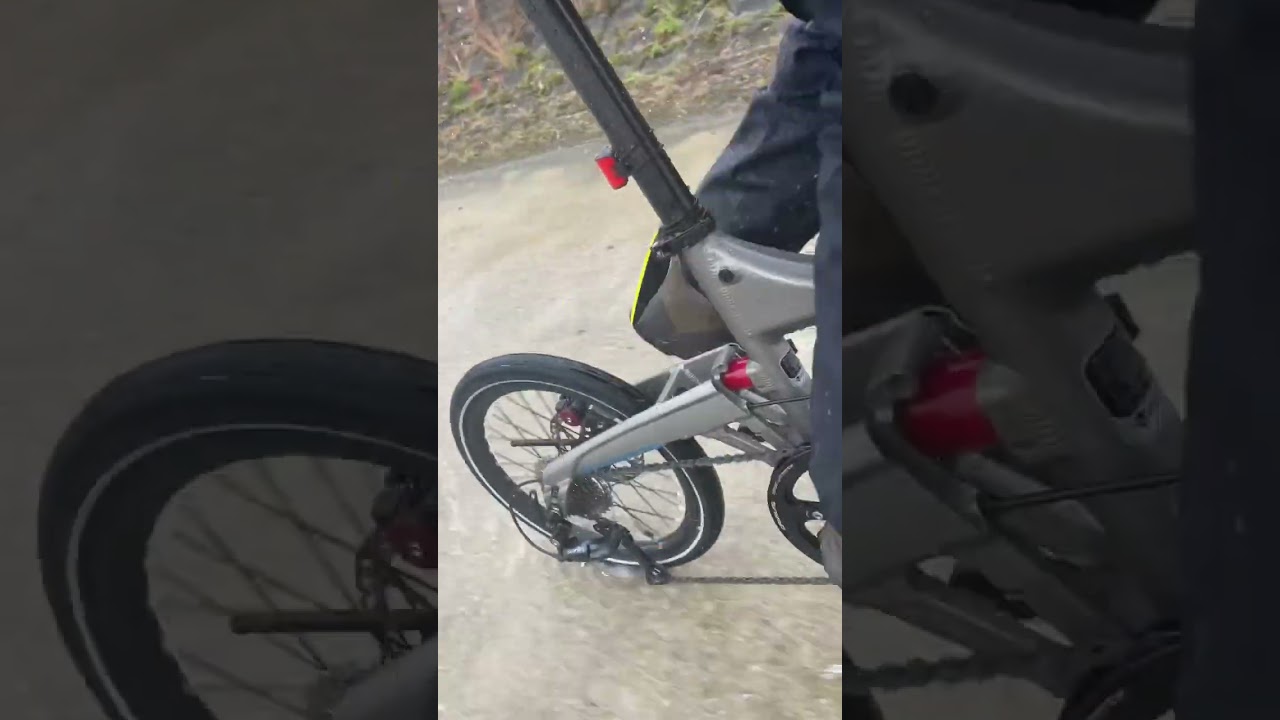 #birdybike