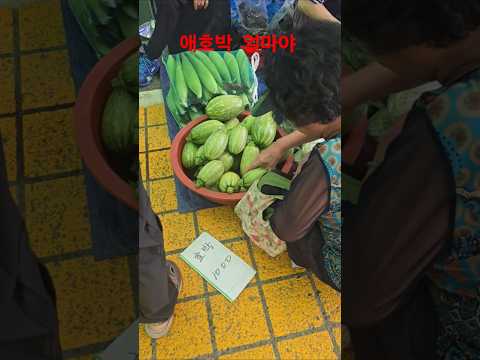 애호박 1개 천원  #충주5일장