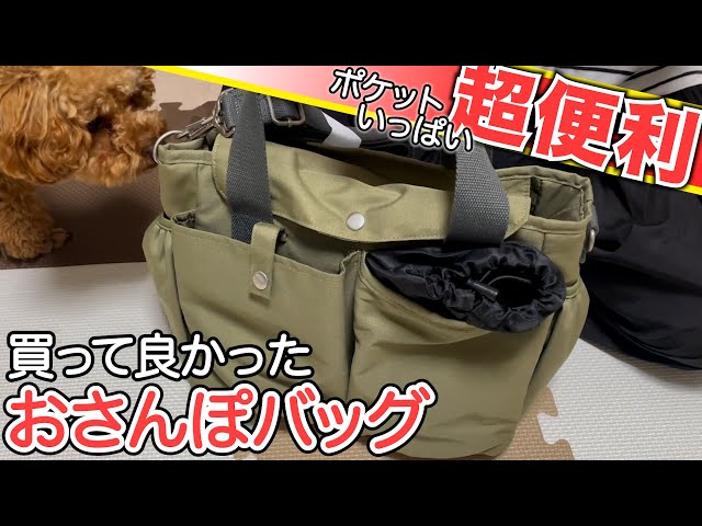 トイプードルのテト】買って良かった、お散歩バッグ - YouTube