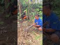 Masih untung #comedy #funnymoments #viral #funnyvideo