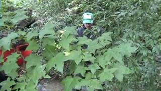 10 4 09 field report
